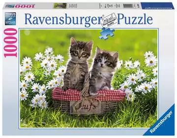 KOCI PIKNIK 1000 EL Puzzle;Puzzle dla dorosłych - Zdjęcie 1 - Ravensburger