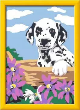 Dalmatier puppy Hobby;Schilderen op nummer - image 2 - Ravensburger