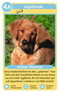 20420 Kartenspiele Hunde von Ravensburger 2
