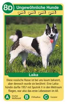 20420 Kartenspiele Hunde von Ravensburger 3