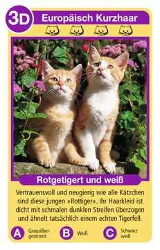 20421 Kartenspiele Katzen von Ravensburger 2