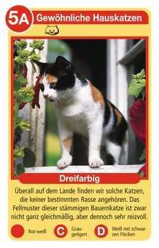Ravensburger Kartenspiel Katzen Quartett NEU 