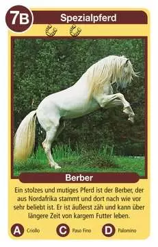 20422 Kartenspiele Pferde von Ravensburger 2