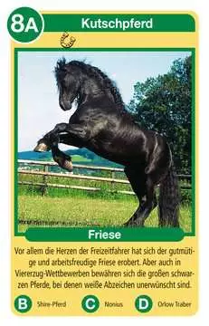 20422 Kartenspiele Pferde von Ravensburger 3