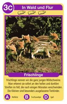 20423 Kartenspiele Tierkinder von Ravensburger 2