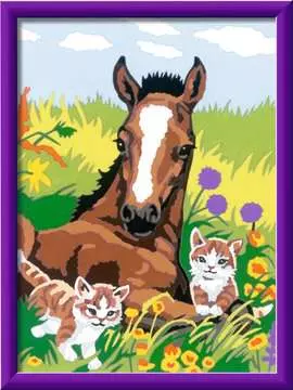 Paard en kittens Hobby;Schilderen op nummer - image 2 - Ravensburger