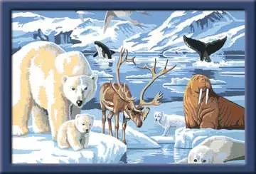 28909 Malen nach Zahlen Tiere der Arktis von Ravensburger 2