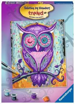 AT Owl Art & Crafts;Painting by Numbers - image 1 - Ravensburger