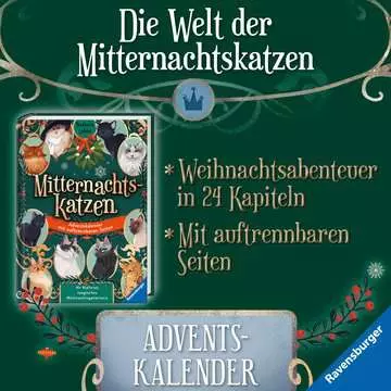 40863 Kinderliteratur Mitternachtskatzen, Band 1: Die Schule der Felidix von Ravensburger 6