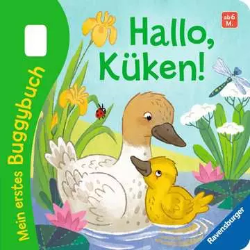 41669 Babybücher und Pappbilderbücher Mein erstes Buggybuch: Hallo, Küken! von Ravensburger 5