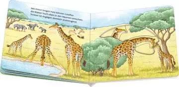41775 Babybücher und Pappbilderbücher Hops, so hüpft das Känguru von Ravensburger 6
