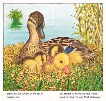 43548 Babybücher und Pappbilderbücher Ich bin die kleine Ente von Ravensburger 3