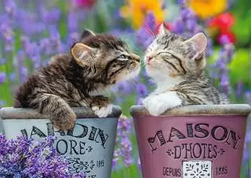 Puzzle N 1000 p - Bisous de chatons Puzzle Nathan;Puzzle adulte - Image 2 - Ravensburger