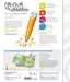 tiptoi® De wereld van muziek tiptoi®;tiptoi® boeken - image 2 - Ravensburger