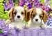 Freunde mit Fell Puzzle;Kinderpuzzle - Bild 2 - Ravensburger