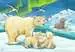 Baby Safari Animals       2x12p Puslespill;Barnepuslespill - bilde 3 - Ravensburger