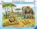 Afrikas Tierwelt Puzzle;Kinderpuzzle - Bild 1 - Ravensburger