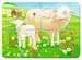 Farma se zvířaty 2/4/6/8 dílků 2D Puzzle;Dětské puzzle - obrázek 3 - Ravensburger