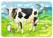 Farma se zvířaty 2/4/6/8 dílků 2D Puzzle;Dětské puzzle - obrázek 5 - Ravensburger
