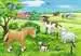 Baby Farm Animals         2x12p Puslespil;Puslespil for børn - Billede 3 - Ravensburger