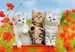 Katjes op ontdekkingsreis Puzzels;Puzzels voor kinderen - image 2 - Ravensburger