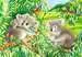 Süße Koalas und Pandas Puzzle;Kinderpuzzle - Bild 2 - Ravensburger