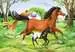 Welt der Pferde Puzzle;Kinderpuzzle - Bild 3 - Ravensburger