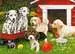 Puppy Party Jigsaw Puzzles;Children s Puzzles - image 2 - Ravensburger