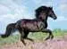 Puzzle 200 p XXL - Etalon noir Puzzle;Puzzle enfant - Image 2 - Ravensburger