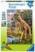 Giraffes in Africa        150p Puslespill;Barnepuslespill - bilde 1 - Ravensburger