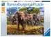 Elefantenfamilie Puzzle;Erwachsenenpuzzle - Bild 1 - Ravensburger