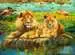 Lions in the Savanna Jigsaw Puzzles;Adult Puzzles - image 2 - Ravensburger