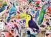 Matt Sewell s Amazing Birds, 1000pc Puzzles;Adult Puzzles - image 2 - Ravensburger