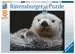 Süßer kleiner Otter Puzzle;Erwachsenenpuzzle - Bild 1 - Ravensburger