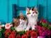 Katjes en rozen Puzzels;Puzzels voor volwassenen - image 2 - Ravensburger