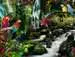 Bunte Papageien im Dschungel Puzzle;Erwachsenenpuzzle - Bild 2 - Ravensburger