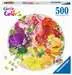 Round puzzle Circle of colors Fruits and Vegetables Puzzels;Puzzels voor volwassenen - image 1 - Ravensburger