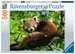 Schattige rode panda Puzzels;Puzzels voor volwassenen - image 1 - Ravensburger