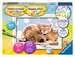 Knuffelvriendjes Hobby;Schilderen op nummer - image 1 - Ravensburger