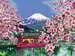 Japanese Cherry Blossom Hobby;Schilderen op nummer - image 3 - Ravensburger