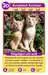 Katzen Spiele;Kartenspiele - Bild 2 - Ravensburger