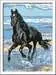 Pferd am Strand Malen und Basteln;Malen nach Zahlen - Bild 2 - Ravensburger