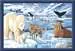 Tiere der Arktis Malen und Basteln;Malen nach Zahlen - Bild 2 - Ravensburger