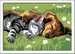 Sleeping Cat and Dog Art & Crafts;CreArt Kids - image 2 - Ravensburger