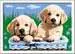 Cute Puppies Art & Crafts;CreArt Kids - image 1 - Ravensburger