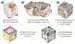 Block Chain 3             D/F/I/NL/EN/E ThinkFun;Single Player Logic Games - image 12 - Ravensburger